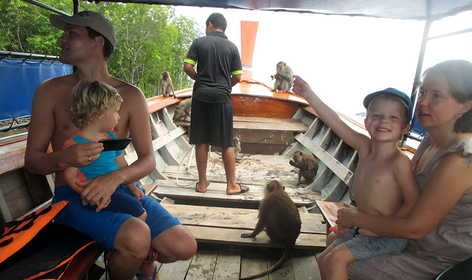 koh lanta mangrove kayaking half day