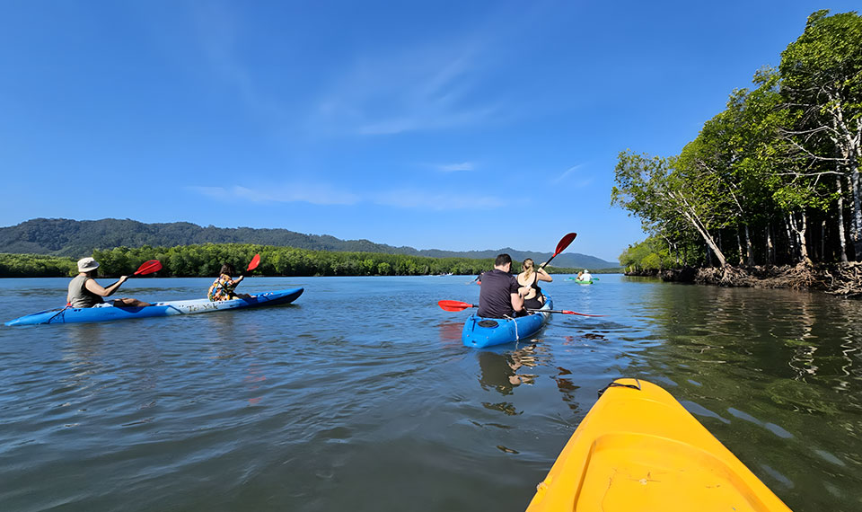 Mangrove kayaking Lanta
