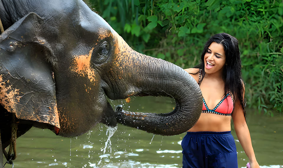 koh lanta elephant sanctuary plus emerald pool and hot springs in Krabi