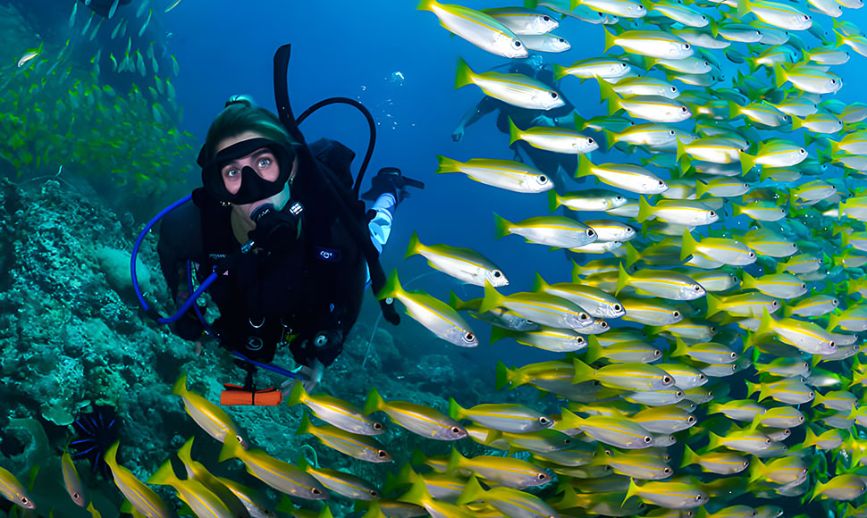 dive trips from Koh Lanta