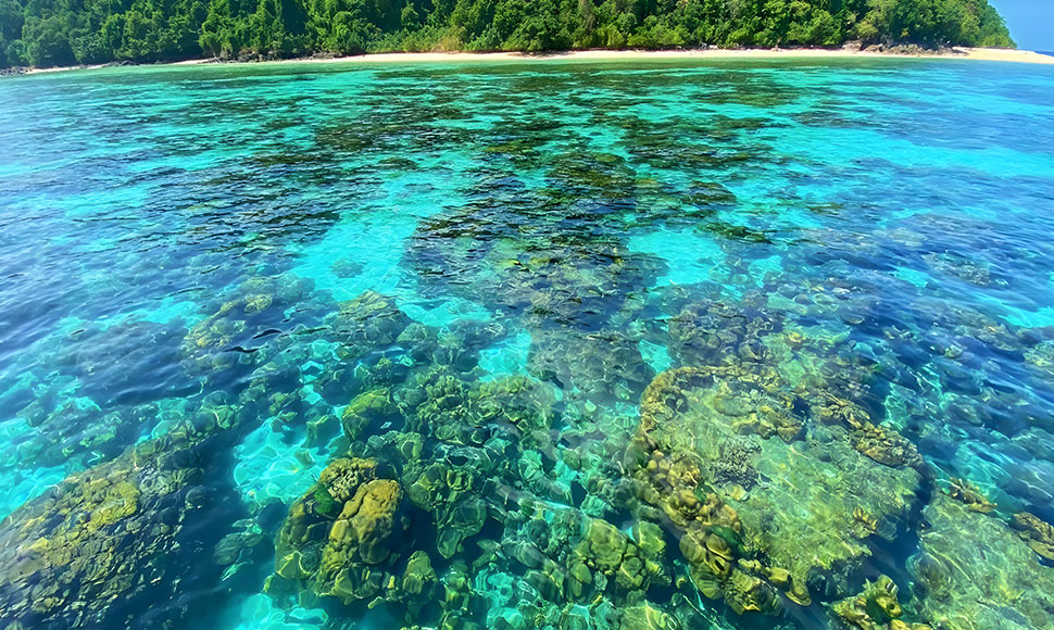 koh rok snorkeling from lanta